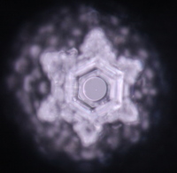 Emoto Wasserkristall Bilder von Aquadea Kristall-Wirbel Dusche